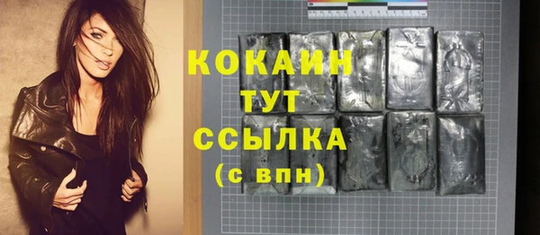 дживик Баксан